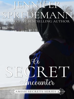 cover image of A Secret Encounter (Amish Secrets--Book 2)